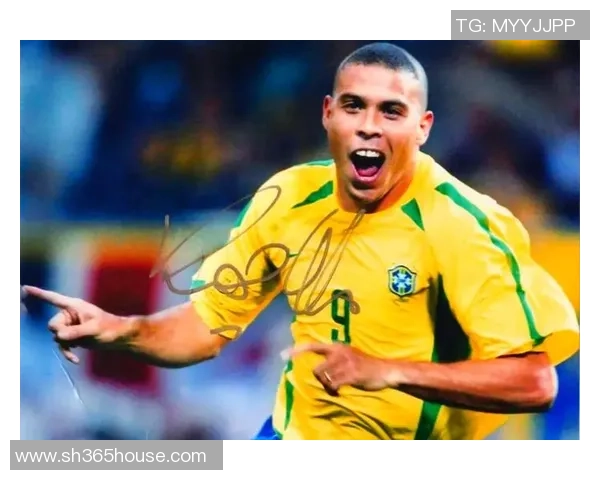 法国退役足球明星盘点及其辉煌职业生涯回顾