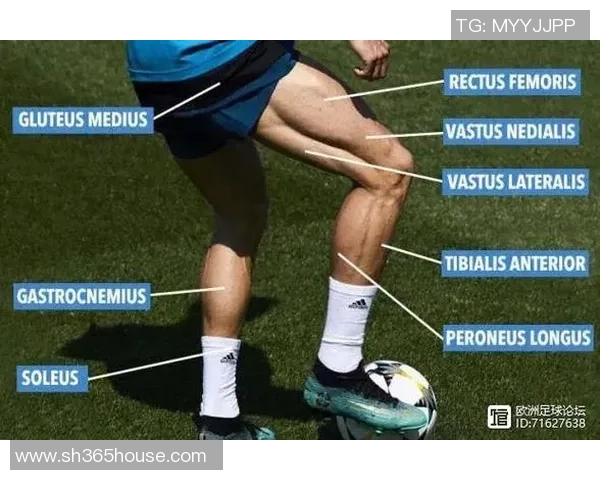 足球明星的身价为何如此惊人背后的秘密与市场分析
