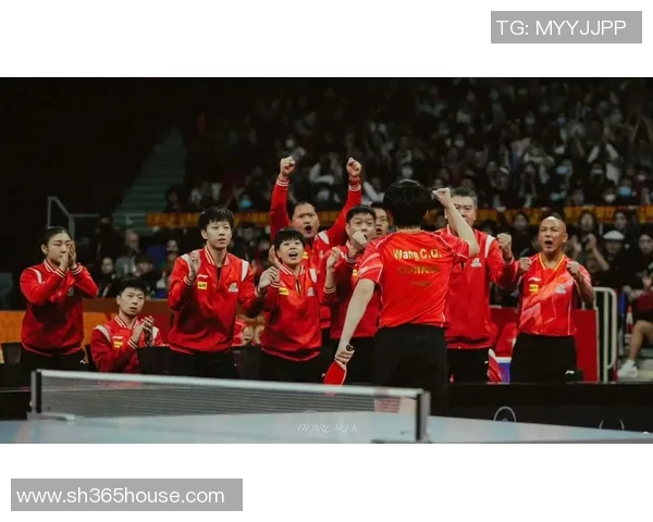 成都乒乓球队以98分稳居世界杯积分榜首位展现强大实力